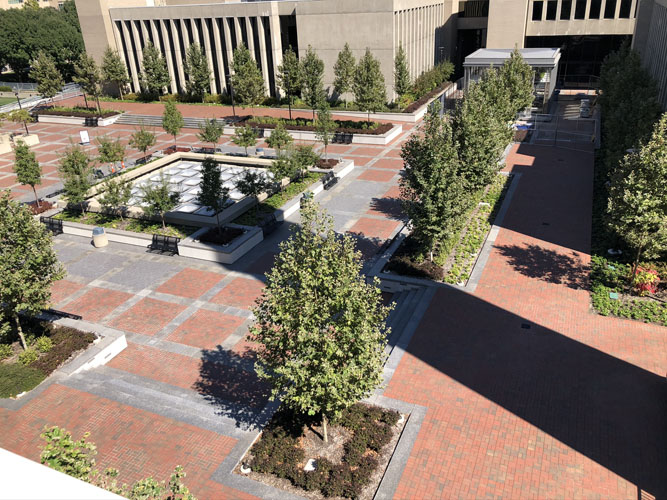 Sinclair plaza 6